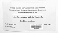 Image Associated With the Occurence